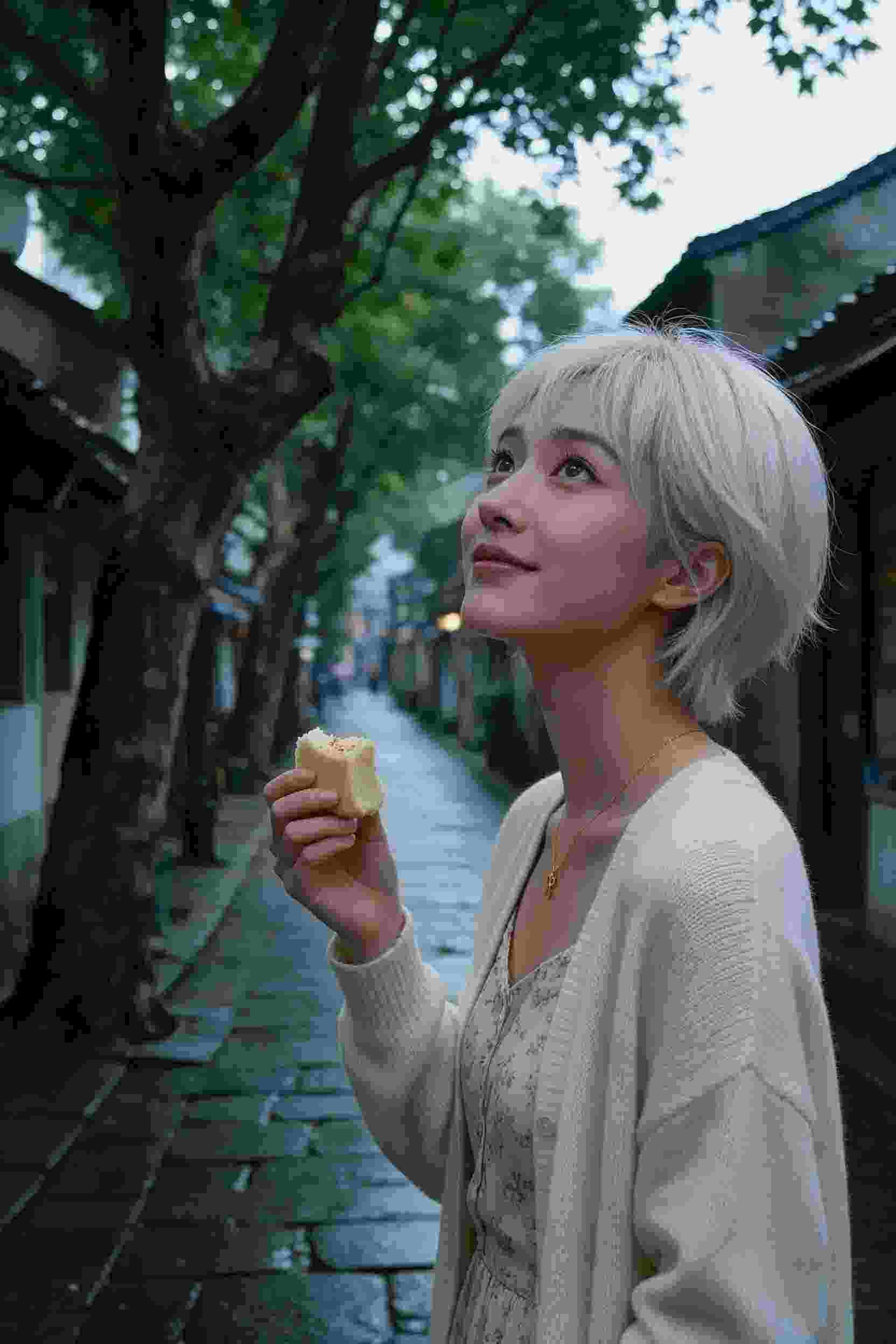 星轨回声 动画封面